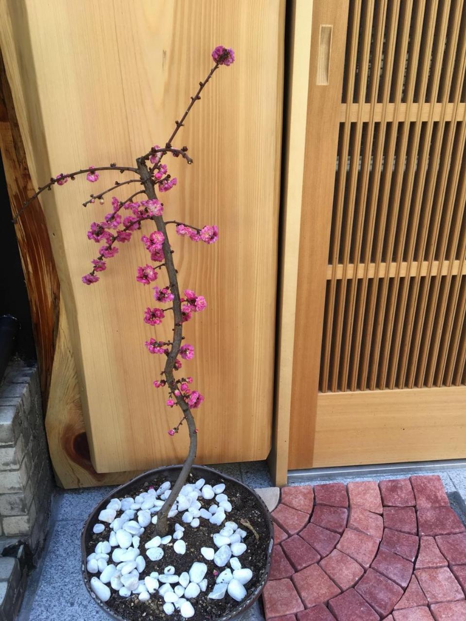 Apartament 美築八坂 Kioto Zewnętrze zdjęcie